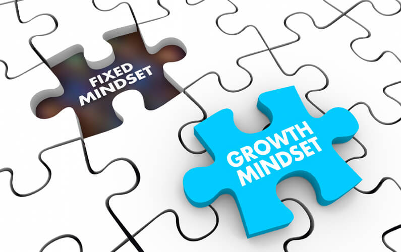 growth vs fixed mindset image depicted in a puzzle